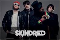 SKINDRED_banner.png